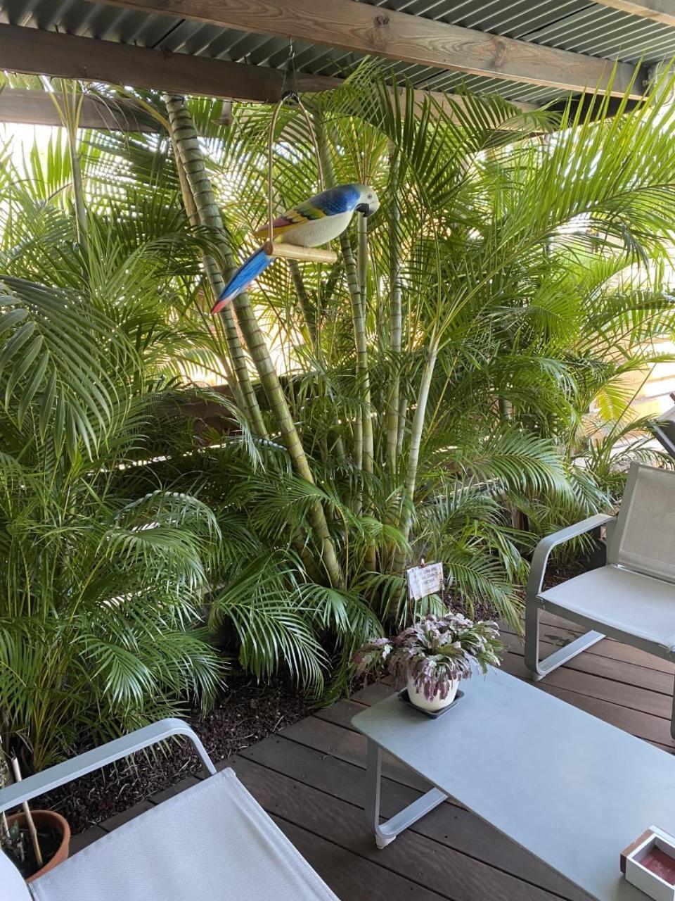 P'Ti Coin Zen Apartment Saint-Gilles Les Bains Exterior photo